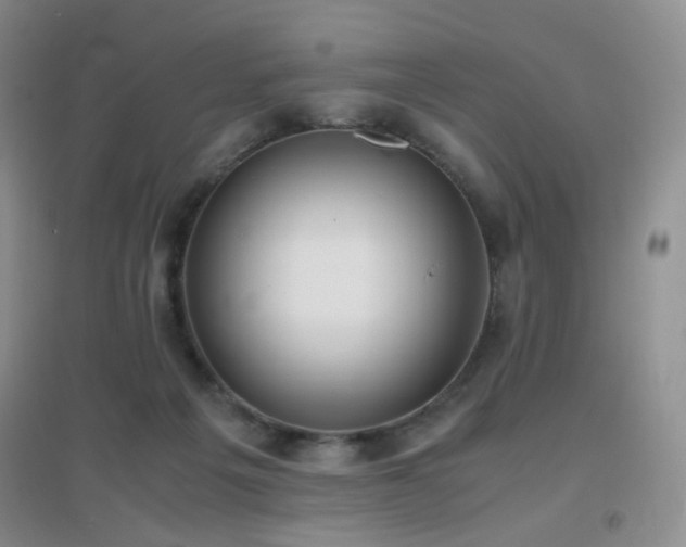 X0000096960217200802081237