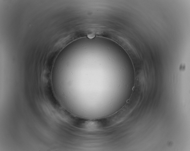 X0000096960218200802081237