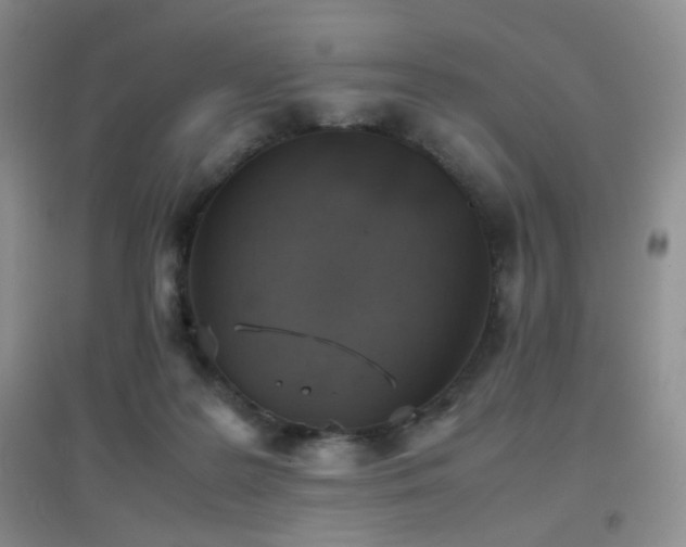 X0000096960219200802081237