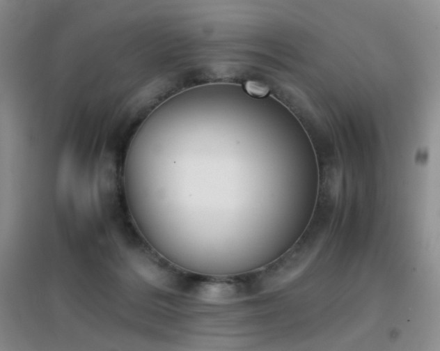 X0000096960220200802081237