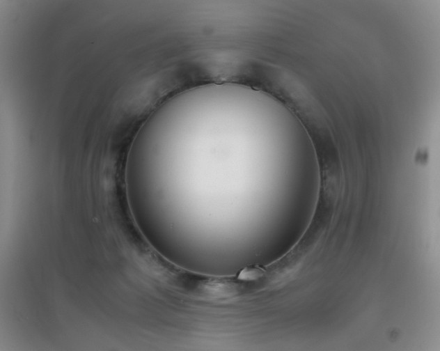 X0000096960221200802081237