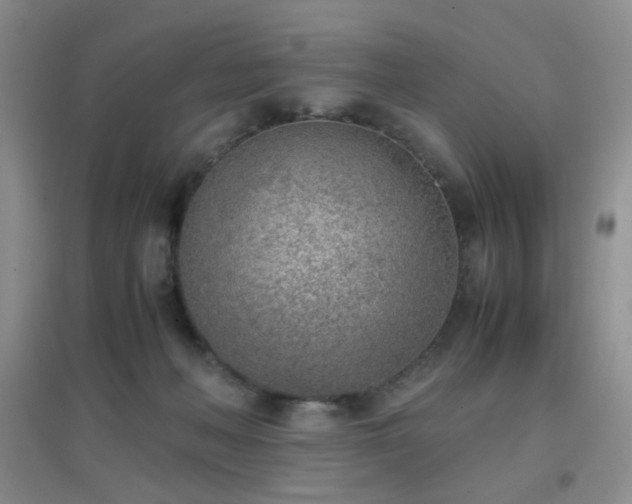 X0000096960222200802081237