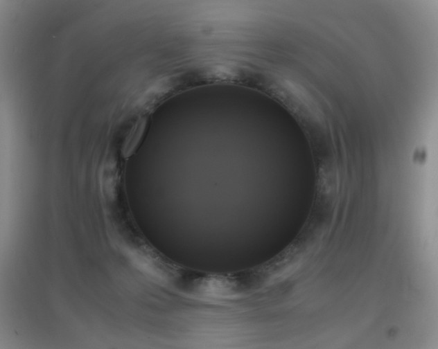 X0000096960223200802081237