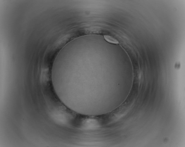 X0000096960224200802081237