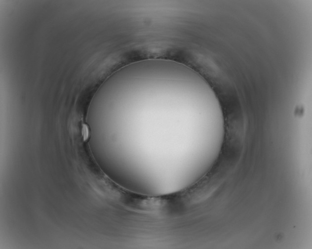 X0000096960225200802081237