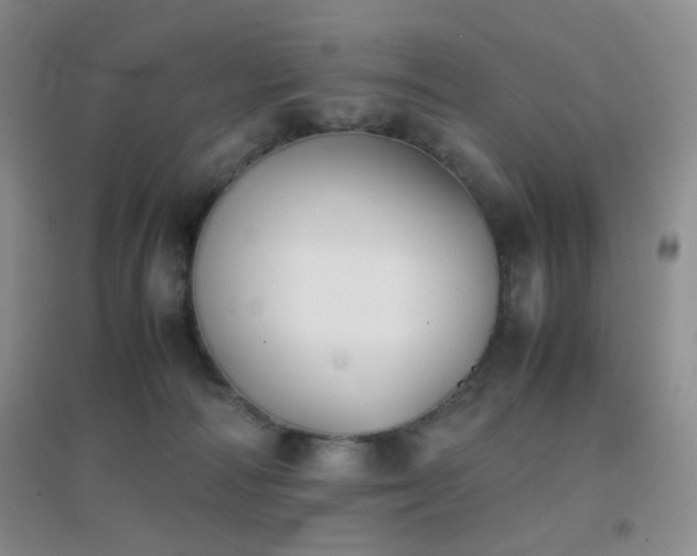 X0000096960226200802081237