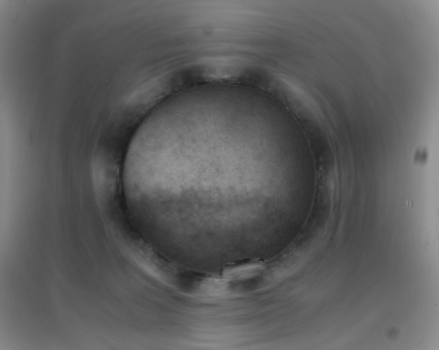 X0000096960227200802081237