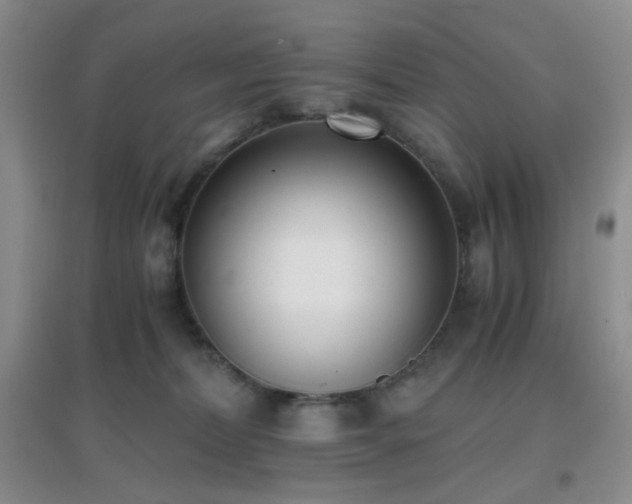 X0000096960228200802081237