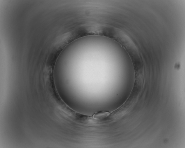 X0000096960229200802081237