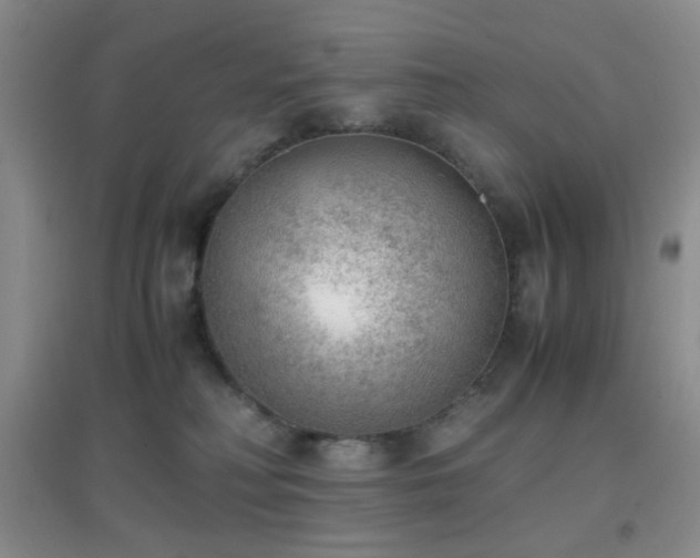 X0000096960230200802081237