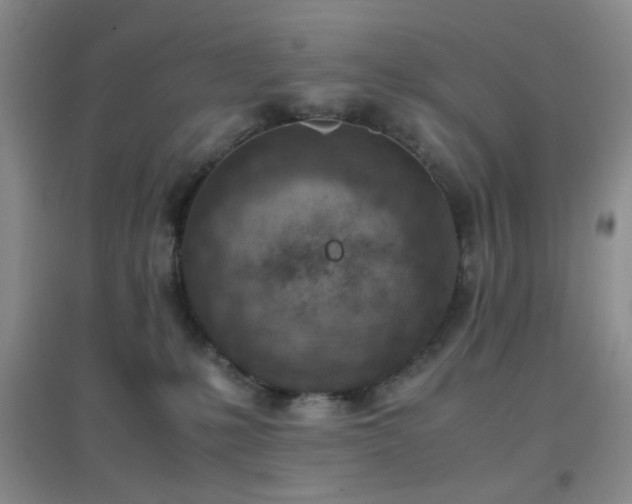 X0000096960231200802081237