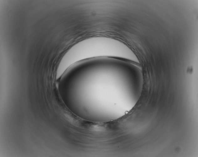 X0000096960232200802081237