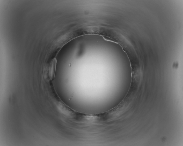 X0000096960233200802081237