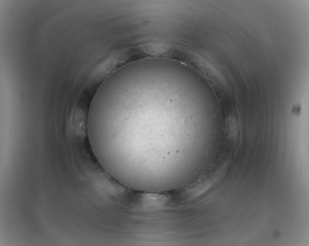 X0000096960234200802081237