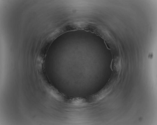 X0000096960235200802081237