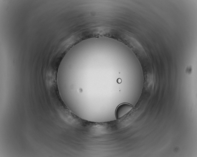 X0000096960236200802081237