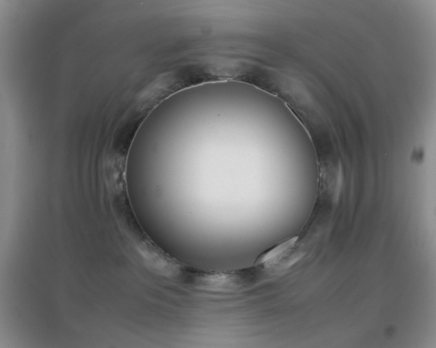 X0000096960237200802081237