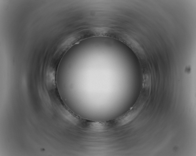 X0000096960238200802081237