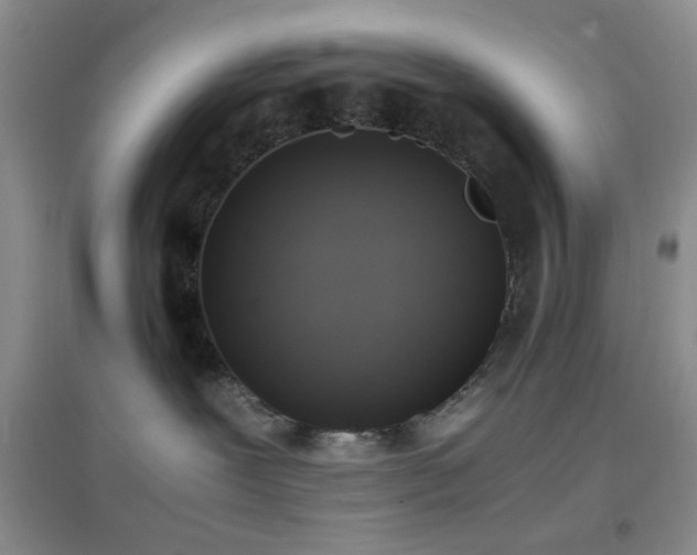 X0000096960239200802081237