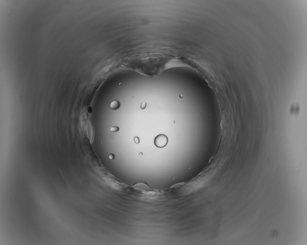 X0000096960240200802081237