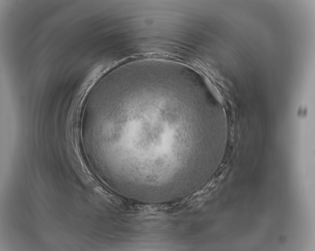 X0000096960241200802081236