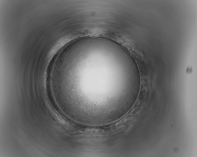 X0000096960242200802081236