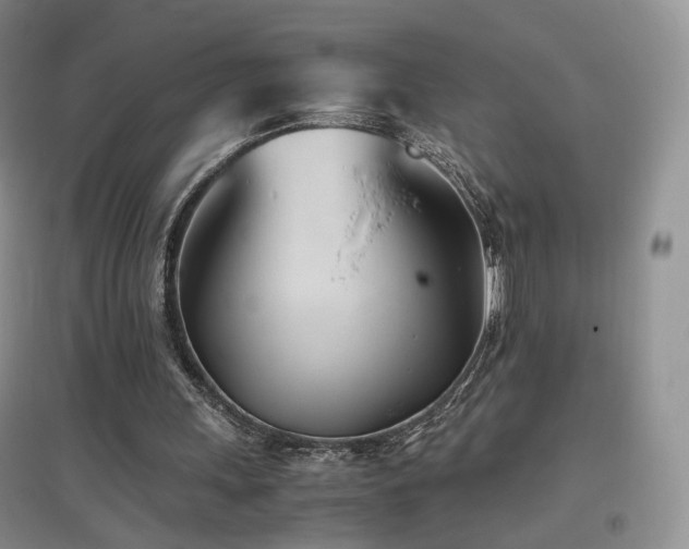 X0000096960243200802081236