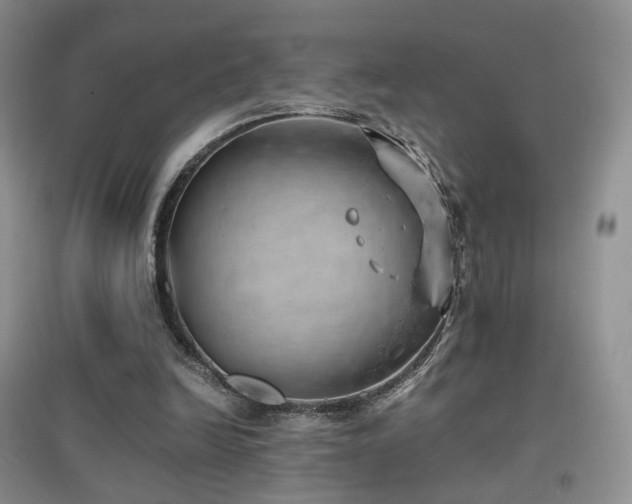 X0000096960246200802081236