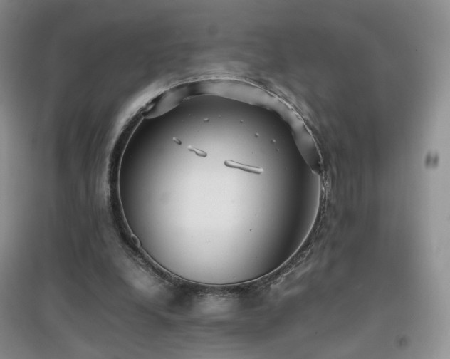 X0000096960248200802081236