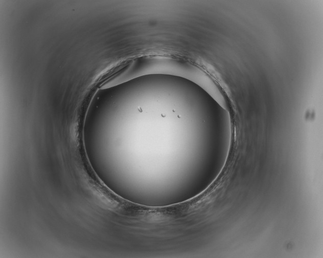 X0000096960249200802081236