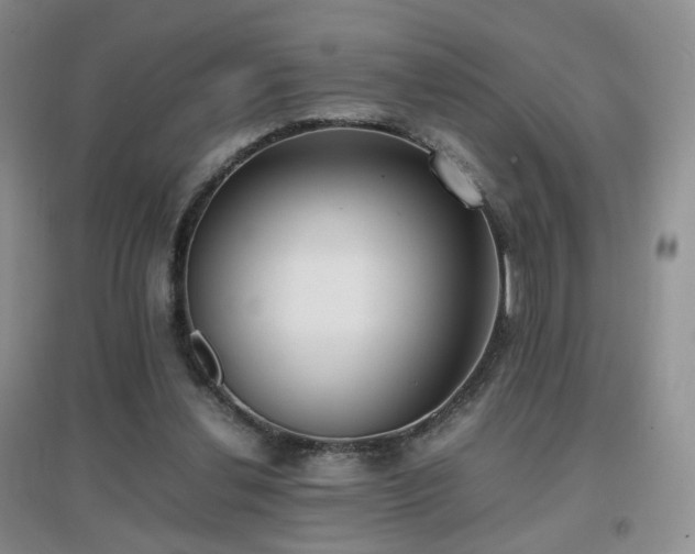 X0000096960252200802081236