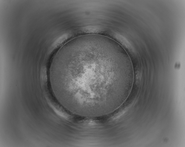 X0000096960254200802081236