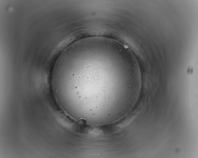 X0000096960258200802081236