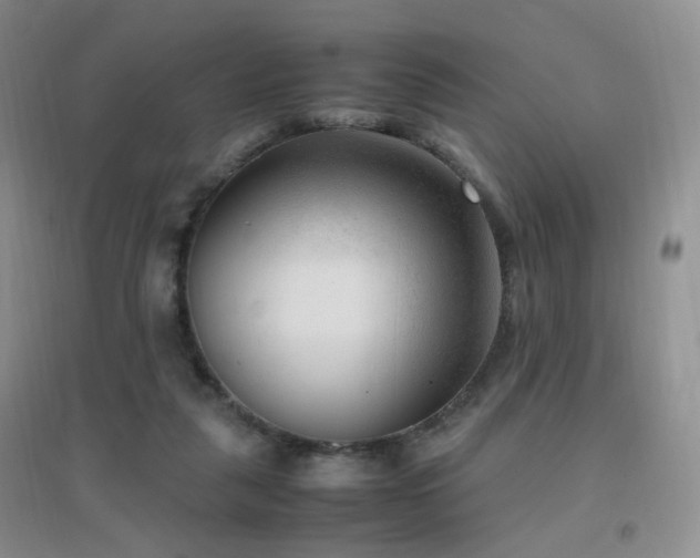 X0000096960259200802081236