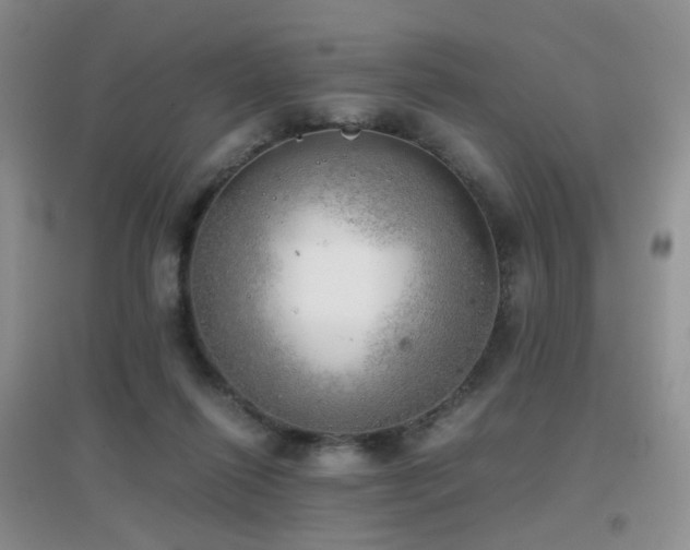 X0000096960262200802081237