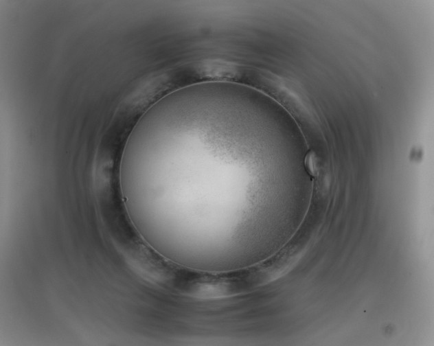 X0000096960263200802081237