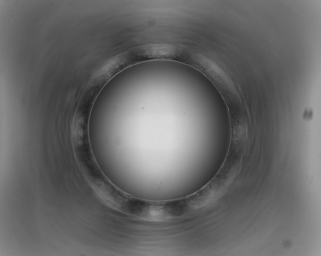 X0000096960264200802081237