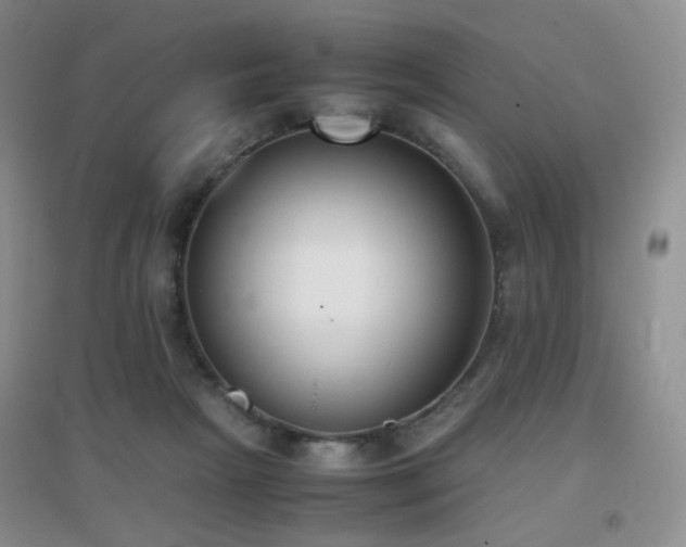 X0000096960265200802081237