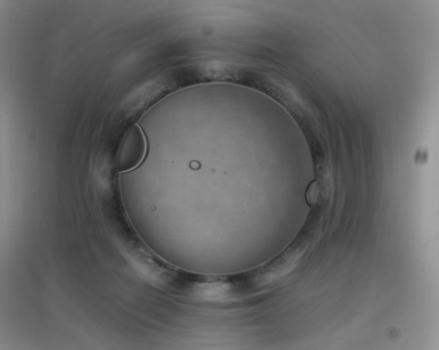 X0000096960266200802081237