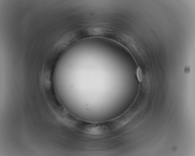 X0000096960267200802081237