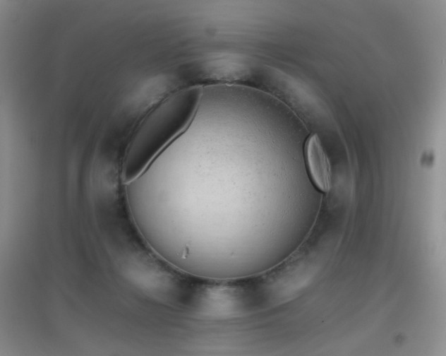 X0000096960268200802081237