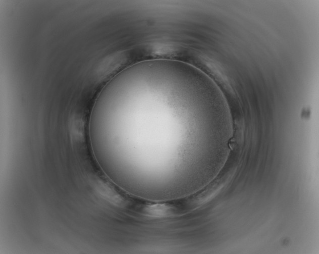 X0000096960269200802081237