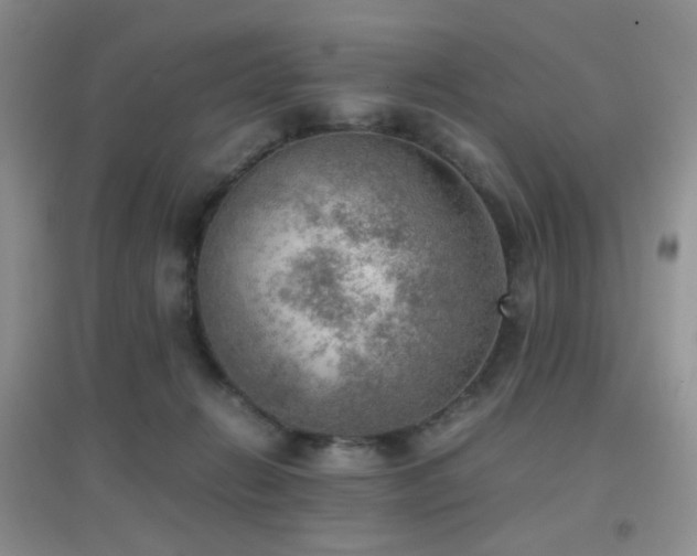 X0000096960270200802081237