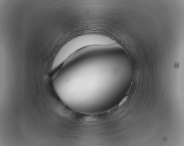 X0000096960272200802081237