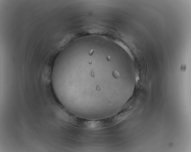 X0000096960273200802081237