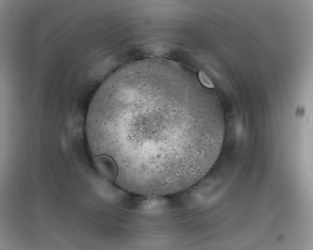 X0000096960274200802081237