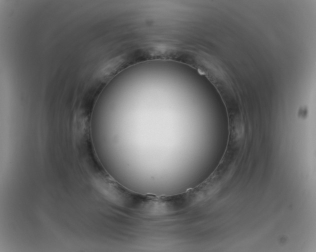 X0000096960276200802081237