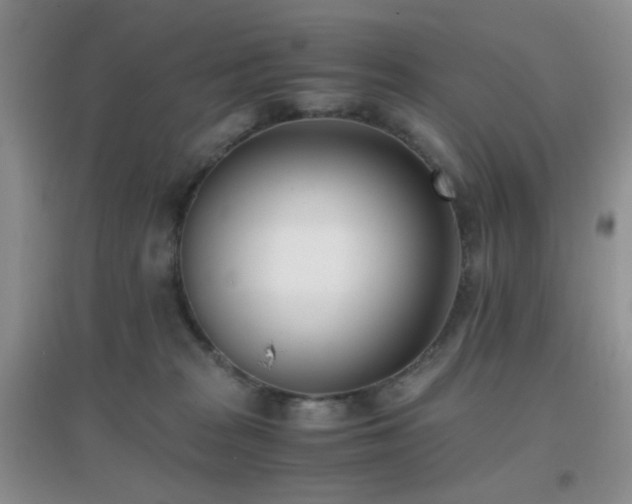 X0000096960277200802081237