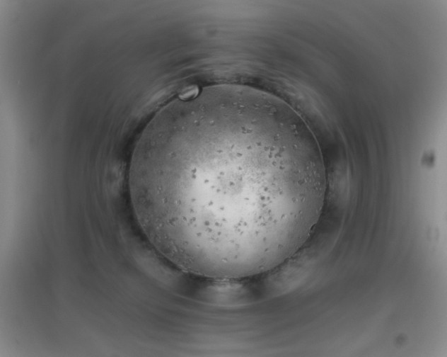 X0000096960278200802081237