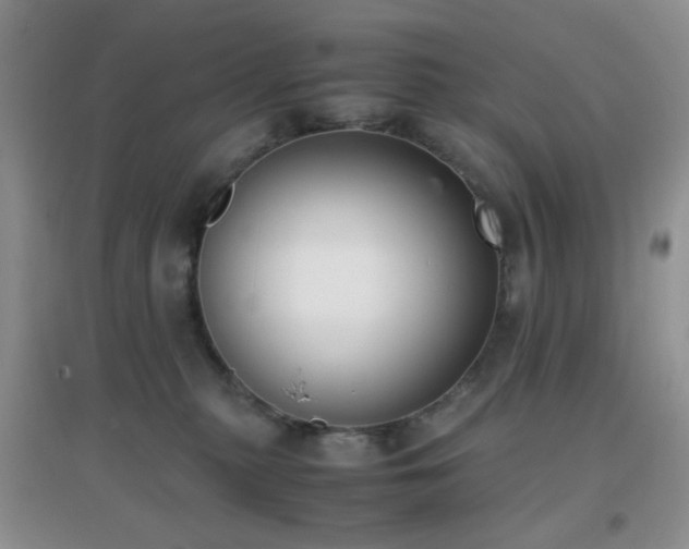 X0000096960279200802081237